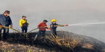 Bomberos de Ibagué atendieron tres incendios forestales durante el fin de semana