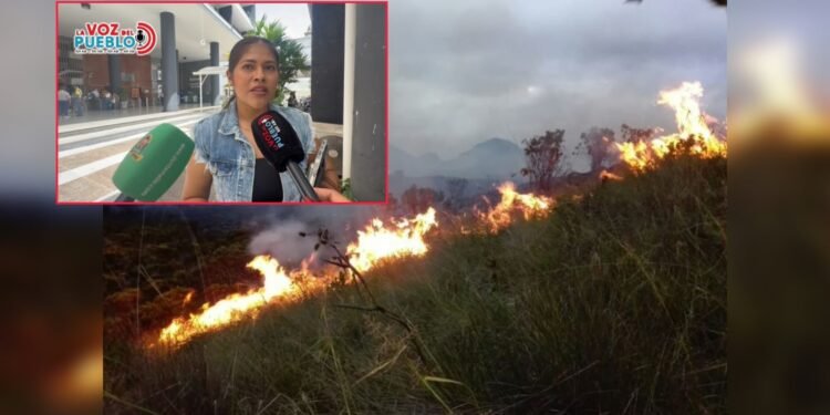 Suárez advierte riesgo por incendios forestales en límites con Cunday y Carmen de Apicalá