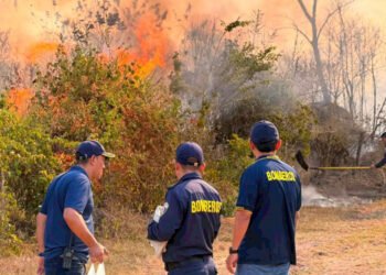 Ibagué cerró julio con 131 incendios forestales y prepara alerta naranja ante temporada de vientos