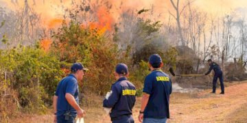 Ibagué cerró julio con 131 incendios forestales y prepara alerta naranja ante temporada de vientos