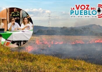 San Luis y Ortega en alerta máxima por incendios forestales en el Tolima