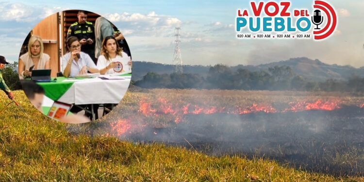 San Luis y Ortega en alerta máxima por incendios forestales en el Tolima