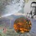 “No damos abasto”: Bomberos de San Luis enfrentan dos grandes incendios y más de 5.000 hectáreas afectadas