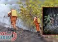 Suárez y Chaparral, los puntos más críticos de la emergencia por incendios en Tolima