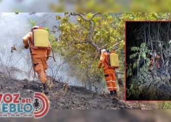 Suárez y Chaparral, los puntos más críticos de la emergencia por incendios en Tolima