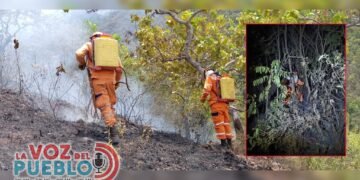 Suárez y Chaparral, los puntos más críticos de la emergencia por incendios en Tolima