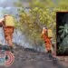 Suárez y Chaparral, los puntos más críticos de la emergencia por incendios en Tolima
