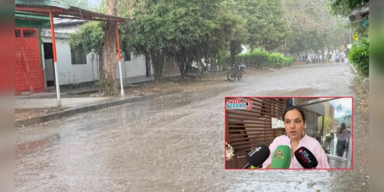 Lluvias llegan al Tolima, pero persisten las alertas por incendios y bajos niveles del Magdalena