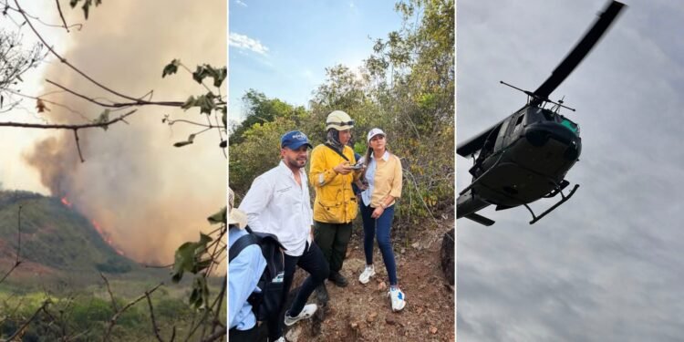 Gobernadora está en Suárez trabajando en el control del incendio forestal