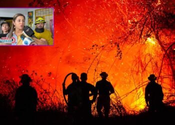 Tolima enfrenta 22 incendios en 14 municipios y surge denuncia sobre posible incendio provocado en Coello