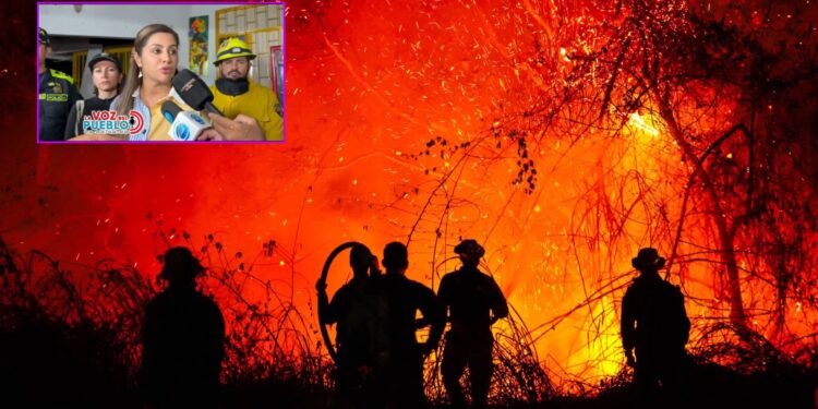 Tolima enfrenta 22 incendios en 14 municipios y surge denuncia sobre posible incendio provocado en Coello