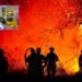 Tolima enfrenta 22 incendios en 14 municipios y surge denuncia sobre posible incendio provocado en Coello