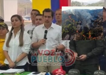 “Hay manos criminales tras incendios del Tolima”: Rodrigo Lara