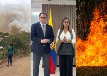 Heno, riego y alivio financiero: las cinco medidas que anunció MinAgricultura para salvar al campo del Tolima
