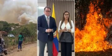 Heno, riego y alivio financiero: las cinco medidas que anunció MinAgricultura para salvar al campo del Tolima