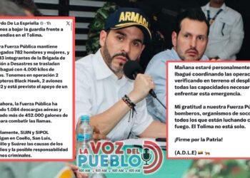 Presidente Abelardo de La Espriella llegará mañana a Ibagué para coordinar operaciones contra los incendios en el Tolima