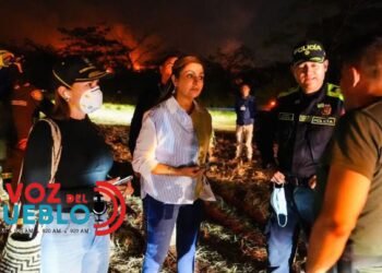 “Mientras apagábamos los incendios, el sur del Tolima era atacado”: gobernadora lanza alerta por escalada criminal