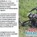 “Rechazamos categóricamente esta escalada criminal”: Gobernadora sobre ataque con drones en Ataco