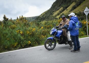 Cortolima alerta sobre el retamo espinoso como detonante de incendios forestales y recuerda su prohibición