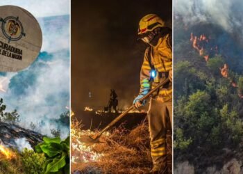 Siete municipios del Tolima, en la mira de la Procuraduría por no garantizar servicio de bomberos