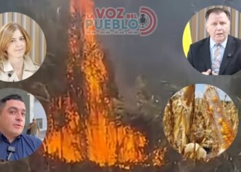 En Valle de San Juan avalan la propuesta de MinAgricultura de vender el maíz sin intermediarios