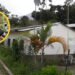 Por sismo suspenden hasta el 13 de octubre clases presenciales en Chaparral y tres municipios más del sur del Tolima