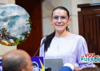“Un día de salario por el Tolima”: Delcy Isaza pide solidaridad a todo el Congreso ante la emergencia por incendios