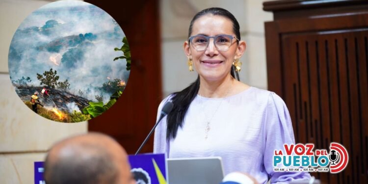 “Un día de salario por el Tolima”: Delcy Isaza pide solidaridad a todo el Congreso ante la emergencia por incendios
