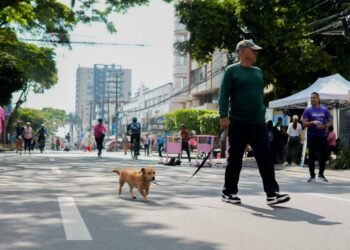 Alcaldía prepara las actividades para la segunda jornada del Día sin carro y sin moto en Ibagué