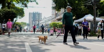 Alcaldía prepara las actividades para la segunda jornada del Día sin carro y sin moto en Ibagué