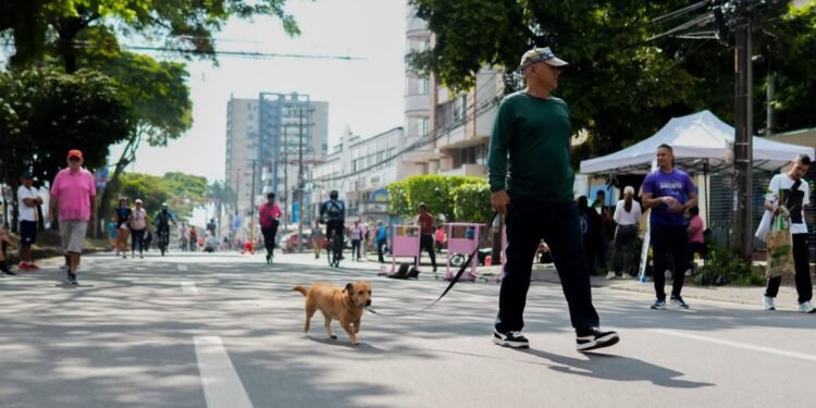 Alcaldía prepara las actividades para la segunda jornada del Día sin carro y sin moto en Ibagué