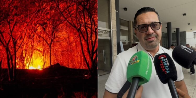 El fuego no solo arrasó con el campo, incendios afectaron varios acueductos de Ortega