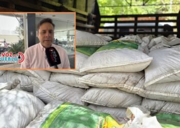 Créditos blandos, exoneraciones y ayudas: alternativas de los gremios del Tolima para apoyar a los afectados por los incendios