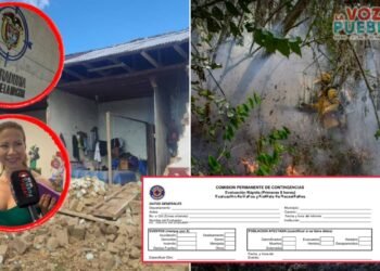 Tolima aún no consolida cifras oficiales de afectados por sismo e incendios: Procuraduría exige completar registros
