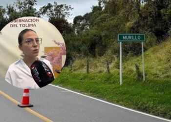 “Sí son pérdidas”: directora de Asuntos Ambiental reconoce impacto económico del pico y placa en la vía a Murillo