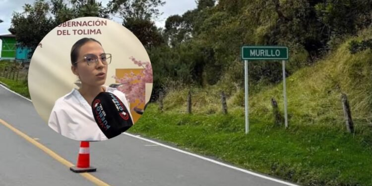 “Sí son pérdidas”: directora de Asuntos Ambiental reconoce impacto económico del pico y placa en la vía a Murillo