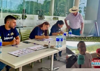 348 líderes cafeteros fueron elegidos en el Tolima tras una jornada electoral en paz