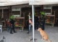 Investigan homicidio el Pueblito de El Espinal 
