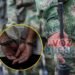 Soldado vendió el fusil de un compañero por $7 millones y terminó condenado en el Tolima
