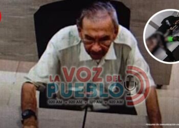 “Veterinario” sin título habría provocado la muerte de un perro en Flandes