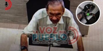 “Veterinario” sin título habría provocado la muerte de un perro en Flandes
