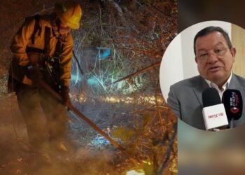 Nuevo rector de la UT pide parar los enfrentamientos por los incendios forestales