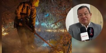 Nuevo rector de la UT pide parar los enfrentamientos por los incendios forestales