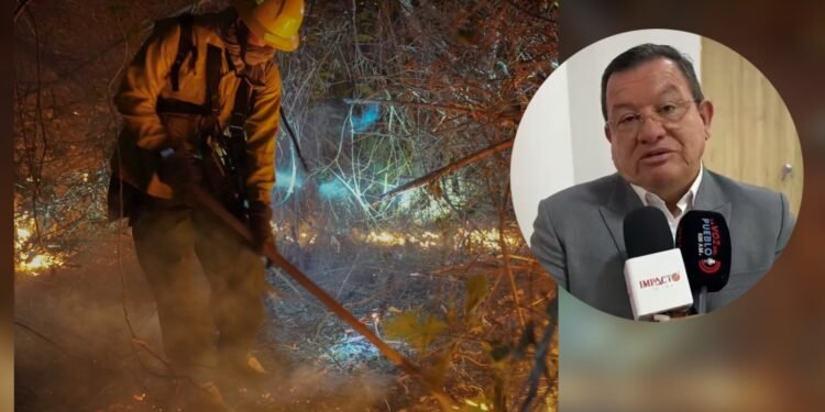 Nuevo rector de la UT pide parar los enfrentamientos por los incendios forestales