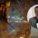 Nuevo rector de la UT pide parar los enfrentamientos por los incendios forestales