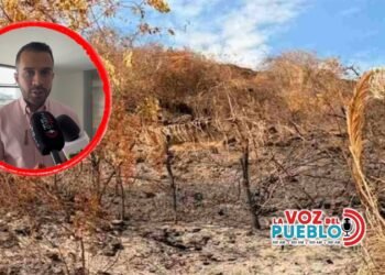 Maiceros del Tolima están en quiebra, proponen alivios financieros y reactivación en 2027 con PepsiCo