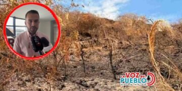 Maiceros del Tolima están en quiebra, proponen alivios financieros y reactivación en 2027 con PepsiCo