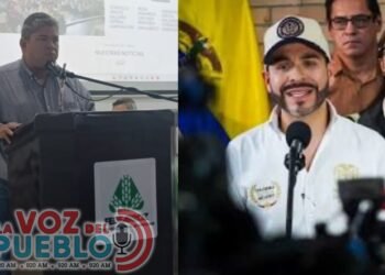 “Los arroceros no pueden seguir perdiendo”: alcalde de Purificación exige respaldo del Gobierno para salvar su economía