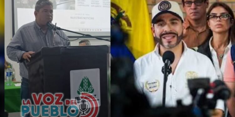 “Los arroceros no pueden seguir perdiendo”: alcalde de Purificación exige respaldo del Gobierno para salvar su economía