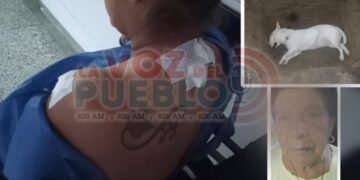 Dos mujeres heridas y una perrita muerta en ataque de un sujeto en el barrio El Bosque